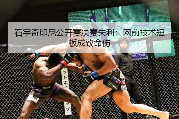 shi-yu-qi-yin-ni-gong-kai-sai-jue-sai-shi-li-wang-qian-ji-shu-duan-ban-cheng-zhi-ming-shang-2-479.jpg