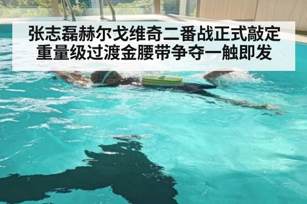 张志磊赫尔戈维奇二番战正式敲定重量级过渡金腰带争夺一触即发