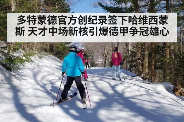 多特蒙德官方创纪录签下哈维西蒙斯 天才中场新核引爆德甲争冠雄心